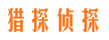 阳谷侦探